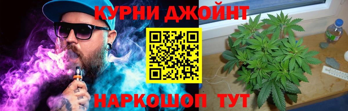 Каннабис OG Kush Алейск